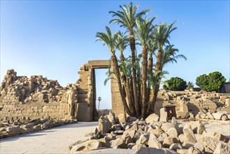 Karnak temple ruins at summer sunrise in Luxor