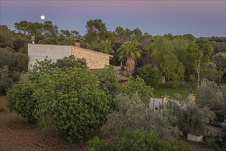 Garden in the hinterland of Majorca, full moon behind, Llubi, Majorca, Spain, Europe