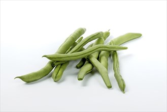 A close up photo of freshly harvested raw green beans on a white background