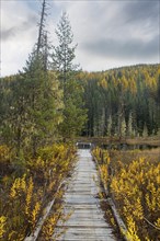 An old wooden walking path leads to the small Huff Lake in north Idaho during autumn