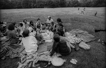 Germany, Berlin, 27.06.1991, families in a meadow in Treptower Park, picnic, Europe