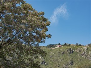 Hilly landscape with wooded areas and scattered houses under a clear blue sky, palermo, sicily,