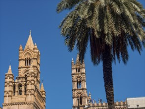 Gothic towers of a cathedral with a palm tree in front of it, blue sky in the background, palermo,