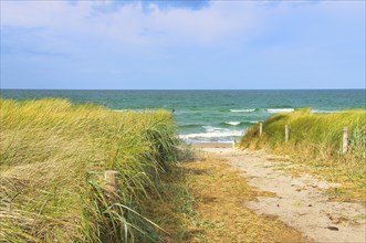 Dune crossing on the beach at Zingst. Dune grass, white sand and the blue Baltic Sea. Landscape