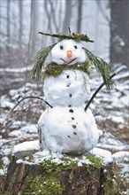 Snowman on a tree stump with a carrot for a nose, buttons, a branch for arms and pine needles for