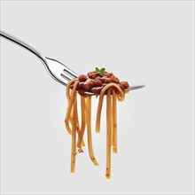 A simple and clean forkful of spaghetti topped with meat sauce and a small basil sprig, AI