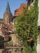 View of a historic town with church tower, river and houses overgrown with ivy, Weissenburg,