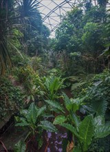 Masoala Rainforest at the Zoo, Zurich, Zurich, Germany, Europe