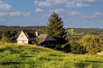 Old farm in the Windeck district, Hinterzarten, Baden-Württemberg, Black Forest, Germany, Europe