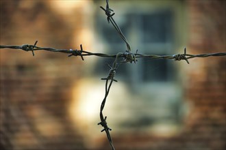 Close up silhouette of coils rusty barb wire over blurred background