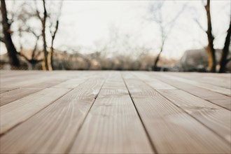 View from wooden brown terrace in the winter.