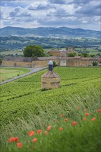 Bagnols village and landscape, Beaujolais, France, Europe