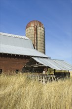 Part of a barn and a silo behind dry grass of autumn on a sunny morning near Harrison, Idaho