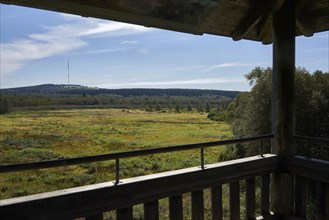 Rotes Moor, view from the observation tower of the former peat extraction area, now renaturalised