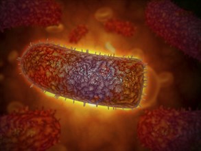 Stylized rabies virus particles, the cause of the viral neuroinvasive disease acute encephalitis