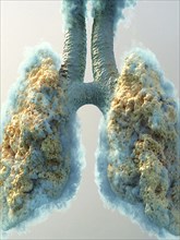 Abstract image of lungs with blue and yellow textured foam against a light background, AI generated