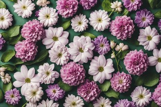 A harmonious arrangement of white and pink flowers with green leaves on a dark green background, AI