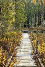 An old wooden walking path leads to the small Huff Lake in north Idaho during autumn