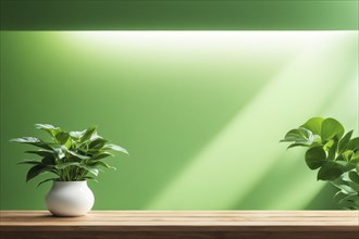 Potted plants on a wooden surface with sunlight and shadows on green wall, AI generated