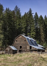 An old rustic barn in the country near Coeur d'Alene, Idaho