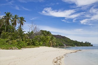 Dream beach in the Seychelles, Dream beach on Seychelles