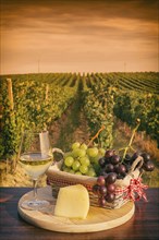 Glass of white wine with grapes in a basket and cheese in front of a vineyard at sunset