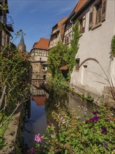 A picturesque village with a river, flowers along the banks and reflective old buildings,