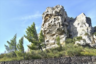 The mountain and the trees under Mistral