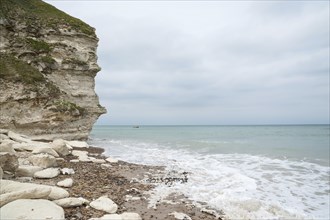 The Bulbjerg bird cliff on the Jutland North Sea coast in Denmark