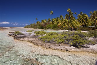 Tetamanu Village Lagoon, Fakarava, Tuamotu Archipelago, French Polynesia, Oceania