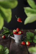 Fresh wet sweet strawberries levitation in watering can on wooden background table, black wall,