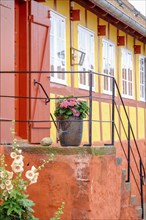 Inviting entrance of a colourful house with flower pot and railing, red-yellow facade, svaneke,