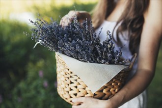 Girl is holding purple lavender flowers in the wooden box.