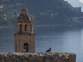 Church tower with a dove in the foreground, sea and mountains in the background, dubrovnik,