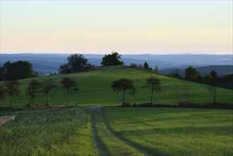 Evening atmosphere at Weiherberg between Dietges and Sieblos, Milseburger Kuppenrhön, Rhön, Hesse,