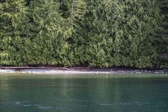 Coast of the Johnstone Strait in British Columbia, Canada, North America