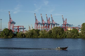 Symbolic picture weather, summer, view from Finkenwerder to motorboat, green vegetation on the