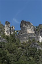 View from the Elbe up to the Bastei Bridge in Saxon Switzerland