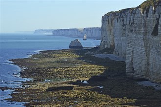 Cliffs and seashore near Etretat Cliffs and seashore near Etretat