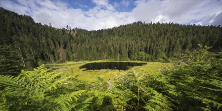 Lake Huzenbach in the northern Black Forest