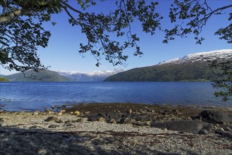 View from the shore of the Nordfjord in the province of Vestland, Norway, Europe