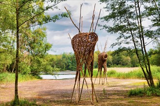 Nests on stilts, Würmsee, Burgwedel, Lower Saxony, Germany, Europe