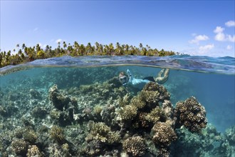 Snorkelling in French Polynesia, Apataki Atoll, Tuamotu Archipelago, French Polynesia, Oceania