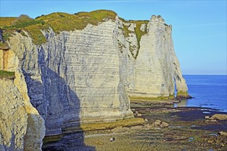 Normandy, Etretat, cliffs, the needle in the morning Etretat, Klippen, Normandie, France, Europe