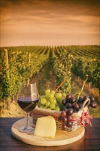 Glass of red wine with grapes in a basket and cheese in front of a vineyard at sunset