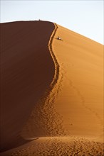 Dune 45 in Sossusvlei area, Namib Naukluft Park, Namibia, Africa