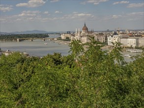 View of the river and the city through trees under a cloudy sky, budapest, danube, hungary