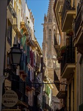 View through a narrow alley to a cathedral in the background, lined with balconies, palma de