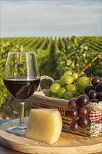 Closeup of glass of red wine with grapes in a basket and cheese in front of a vineyard