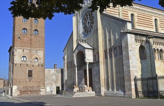 Basilica di San Zeno Maggiore and the tower